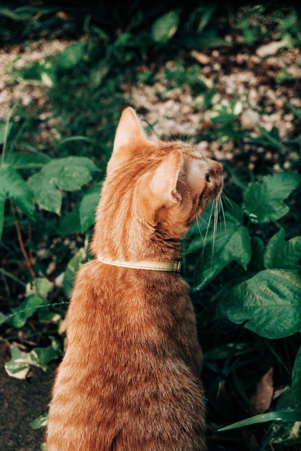 Which UK gardens are must-visits for horticulture enthusiasts?